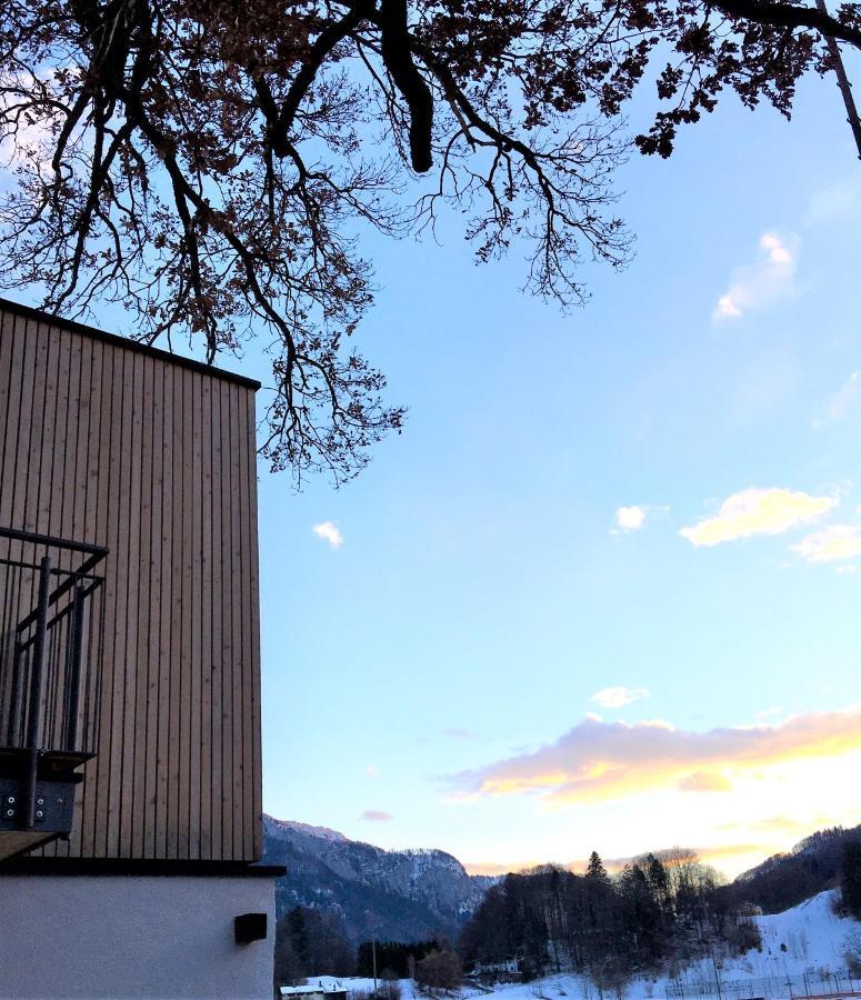 Kampenzeit Loft Mit Traumhaftem Panoramablick Appartement Aschau im Chiemgau Buitenkant foto